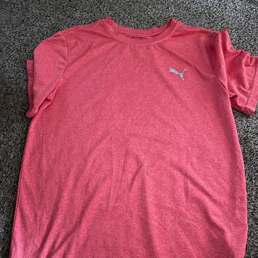 Puma 14/16